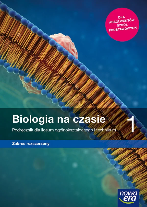 Obraz 2025 12 15 191752588